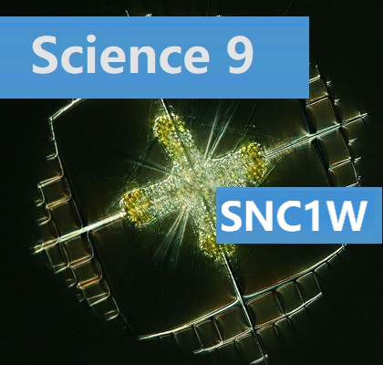 SNC1W_Science9